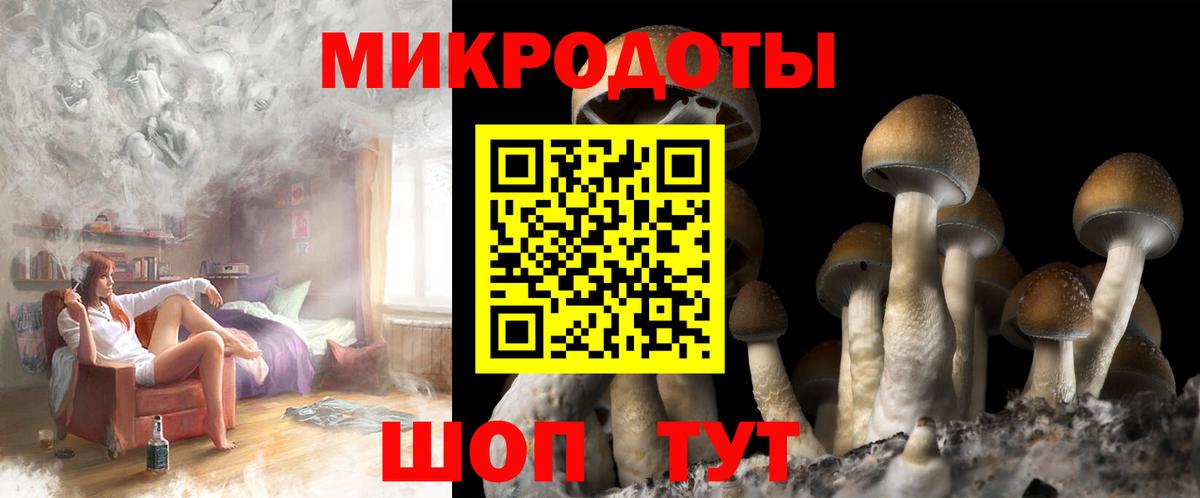 Галлюциногенные грибы мухоморы Мирный